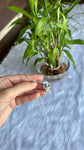 Camera Pendant