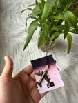 Airplane Bag tag